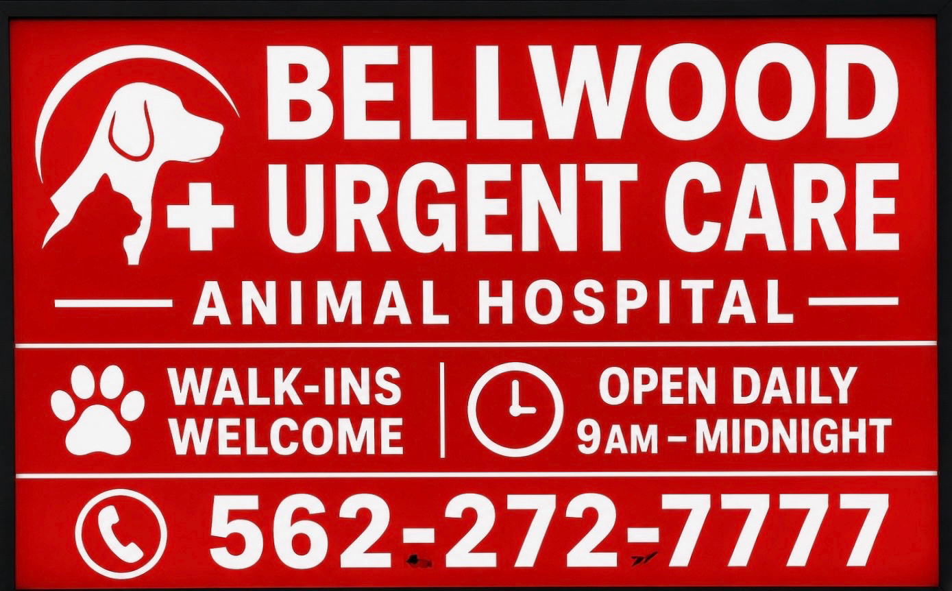 Bellwood Urgent Care Animal Hospital sign